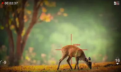 Entendiendo La Sutil Relación Entre Las Imágenes Termales Y Los Dispositivos De Visión Nocturna