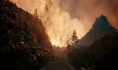 El Incendio Forestal Ha Sido Apagado. ¿Qué Otras Aplicaciones Pueden Tener Las Cámaras De Imágenes Térmicas Además Del Campo De Seguridad?